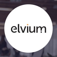 Elvium logo - Similar company to Artsize Design - By Gabi Prządka