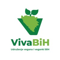 VivaBiH logo - Similar company to Peaceful Dumpling