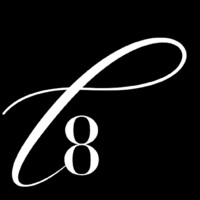 The Level 8 Group logo - Similar company to Level8 Group Corp