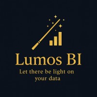 Lumos BI logo - Similar company to Syncroserve
