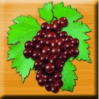 Raisins DFV SpA logo - Similar company to Infinity Nuts