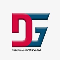 Dataglove LLC logo - Similar company to Persistant
