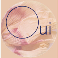 Oui Translate logo - Similar company to Orane Desnos (Tradistica®)