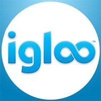 Igloo Staffing Solutions logo - Similar company to Temporary Dedicated Solutions