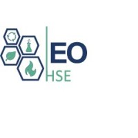 Efficience et Optimisation logo - Similar company to L'Agence 2307