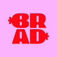 Brad SA logo - Similar company to Insight Studio