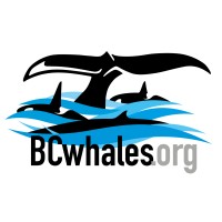 BC Whales | North Coast Cetacean Society logo - Similar company to Du Fleuve