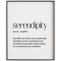 Serendipity Ventures logo - Similar company to Australian Council On Foreign Relations