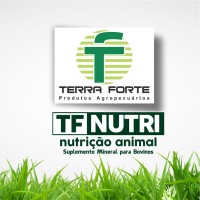 Terra Forte logo - Similar company to Café Terra Forte