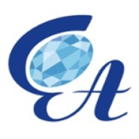 Standart Audit LLC logo - Similar company to Naylor Accountancy