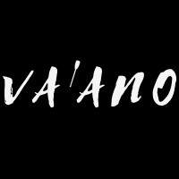 VA'ANO logo - Similar company to Caldas Ecom
