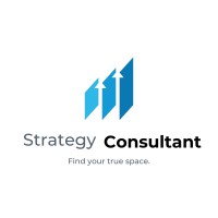 Strategy Consultant logo - Similar company to Marco Demarin - Strategy Management Consultant
