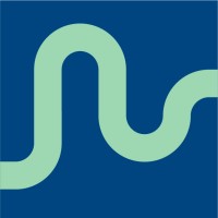 Think Flow logo - Similar company to Business Driven Development Ab