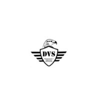 DVS PLANEJAMENTO E SEGURANÇA FÍSICA PATRIMONIAL logo - Similar company to Faceless