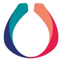 Pemflow logo - Similar company to Efiltec Solutions