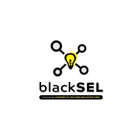 BlackSEL - Powered by DOM Education Fund logo - Similar company to Ai Institute In Dynamic Systems