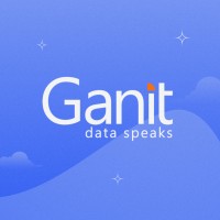 Ganit Inc. logo - Similar company to Geniusee - Custom Software Product Development