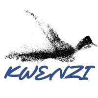 Kwenzi Pty Ltd logo - Similar company to Bwp Advisors