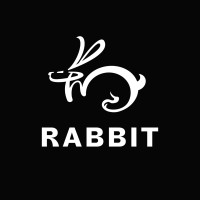 Rabbit Visuals logo - Similar company to Hexamer Oy