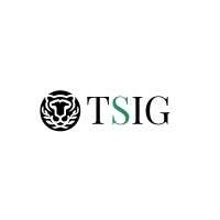 Tiger Sustainable Investment Group logo - Similar company to Accel Learning