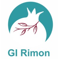 Georgian Israeli Innovative Medical Center GI Rimon