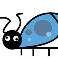 Wild Blue Bug Photography