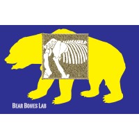 Bear Bones Lab, Uc Berkeley