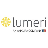 Lumeri, an Ankura Company logo - Similar company to Sunergos Llc