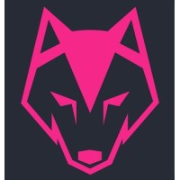 Lead Wolf Digital logo - Similar company to The Knowledge Gym