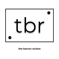 The Barron Review logo - Similar company to Self-Estem