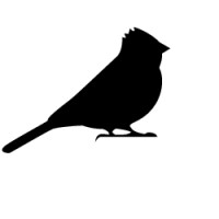 The Landscape Studio logo - Similar company to Bigas Studio