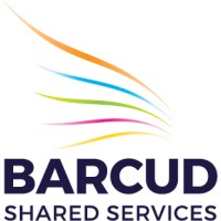 Barcud Shared Services Limited logo - Similar company to Llanw