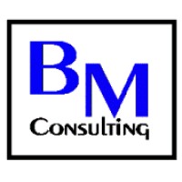 Business Management Ltda (BM Consulting) logo - Similar company to Amaya Group