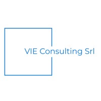 Vie Consulting Srl logo - Similar company to Angeltech.Nl