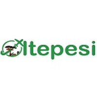 OLTEPESI TOURS & TRAVEL LTD logo - Similar company to Arxern