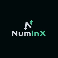 NuminX logo - Similar company to Dashfit