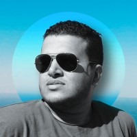 Aly Mohamed logo - Similar company to Urtica Design Inc