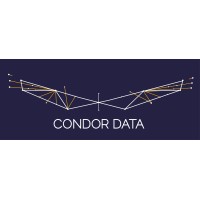 Condor Data Analytics logo - Similar company to Nexondev
