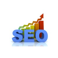 Search Engine Optimisation & Evaluation