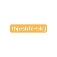 Thjeshte SH.P.K logo - Similar company to El Tech Llc