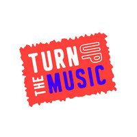 Turn Up The Music Charitable Trust logo - Similar company to Mountain Scene