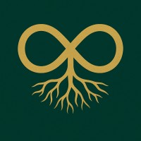 Kolki Ventures logo - Similar company to Accelerate Cape Town