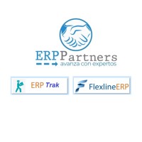 ERP Partners logo - Similar company to Auditar Spa