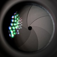 Estee White Photography logo - Similar company to Think A.M.