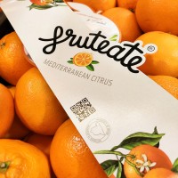 Frutéate logo - Similar company to Dimapex