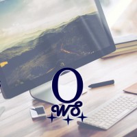 Orion Web Services logo - Similar company to Expert Consulting