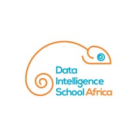 Data Intelligence School Africa logo - Similar company to Africa Data School