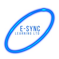 Esync Learning logo - Similar company to Mcd Systems