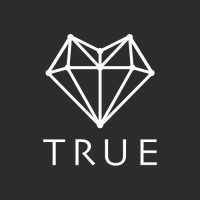 TrueChain初链 logo - Similar company to Valhalla Labs