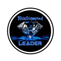 Blue Diamond Leader logo - Similar company to Corp Pro